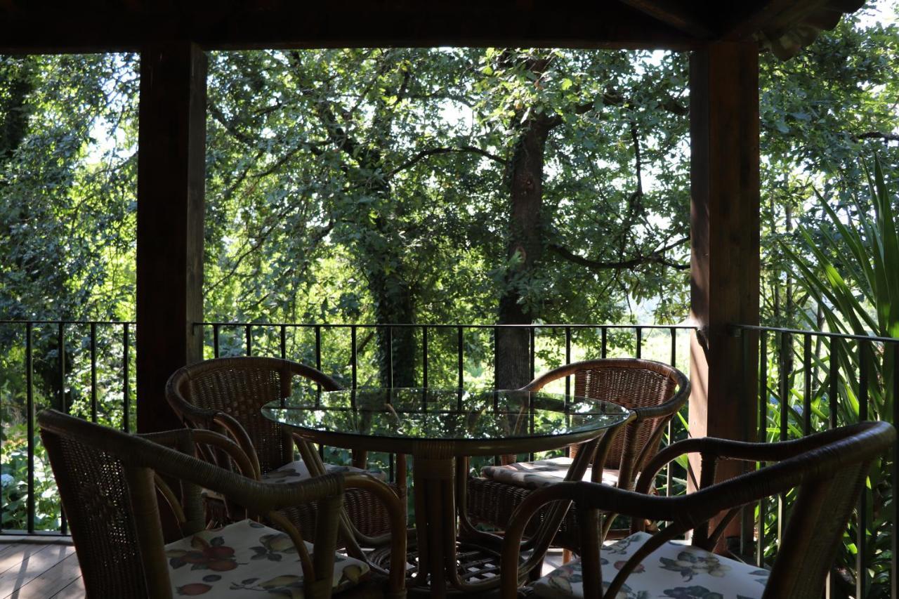 Casa Da Breia Villa Carregadouro ภายนอก รูปภาพ