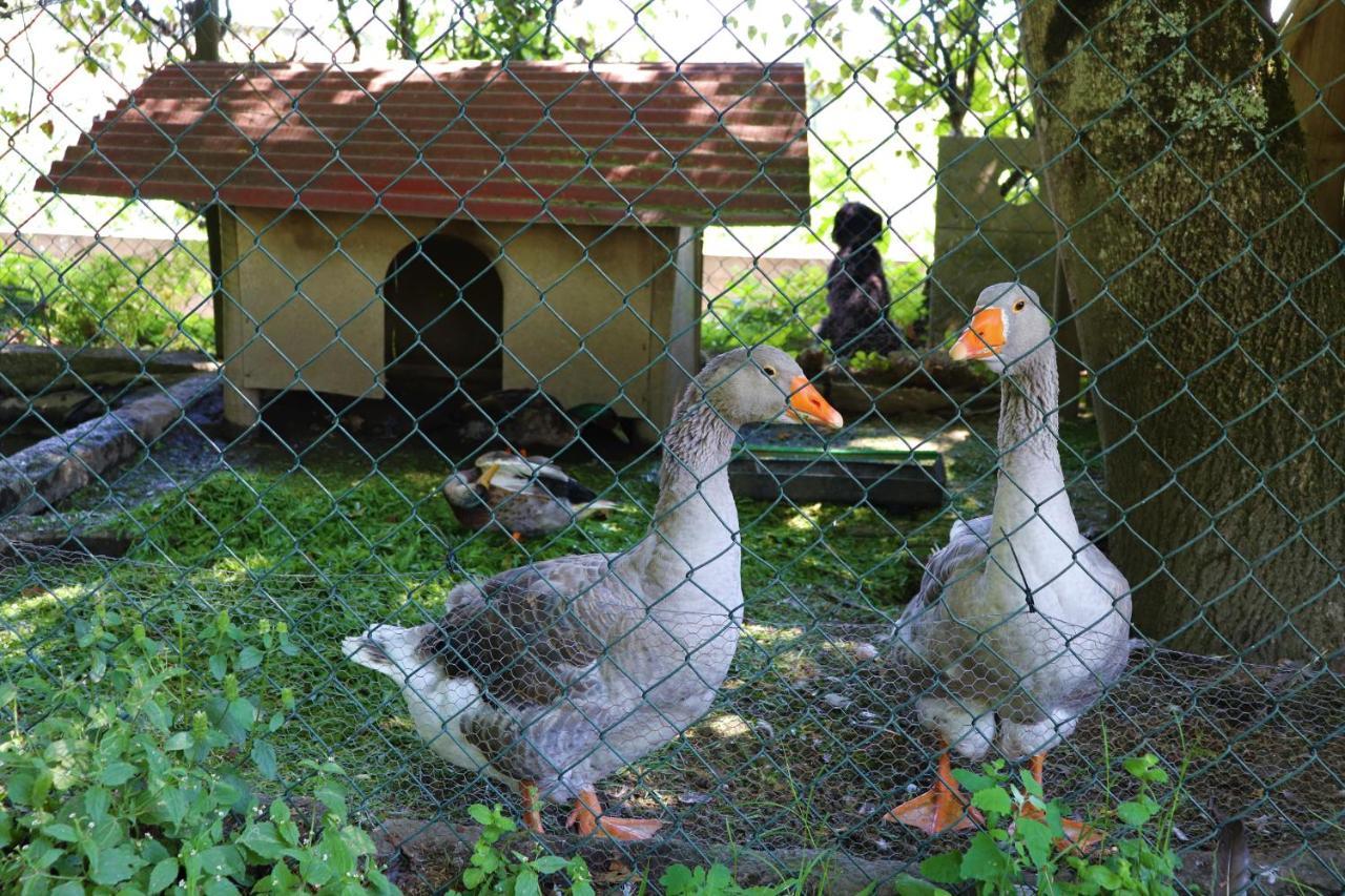 Casa Da Breia Villa Carregadouro ภายนอก รูปภาพ